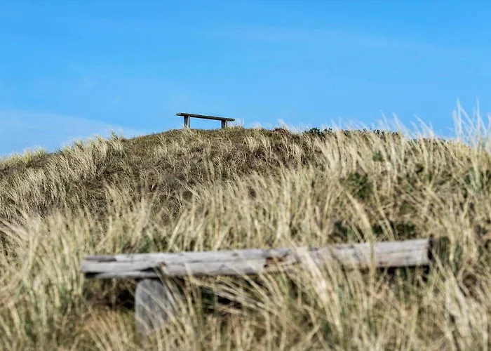 4468-hvide-sande-tingodden-427 Hvide Sande